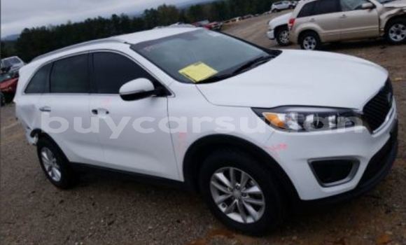 Buy Used Kia Sorento White Car in Abu Hijar in Sinnar Buy Used Kia Sorento White Car in Abu Hijar in Sinnar