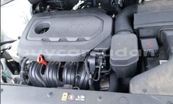 Buy Used Kia Sorento White Car in Abu Hijar in Sinnar Buy Used Kia Sorento White Car in Abu Hijar in Sinnar