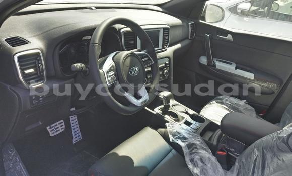 Buy New Kia Sportage White Car in Import - Dubai in Al Jazirah State Buy New Kia Sportage White Car in Import - Dubai in Al Jazirah State