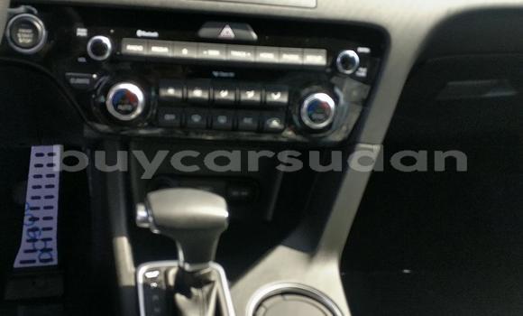 Buy New Kia Sportage White Car in Import - Dubai in Al Jazirah State Buy New Kia Sportage White Car in Import - Dubai in Al Jazirah State