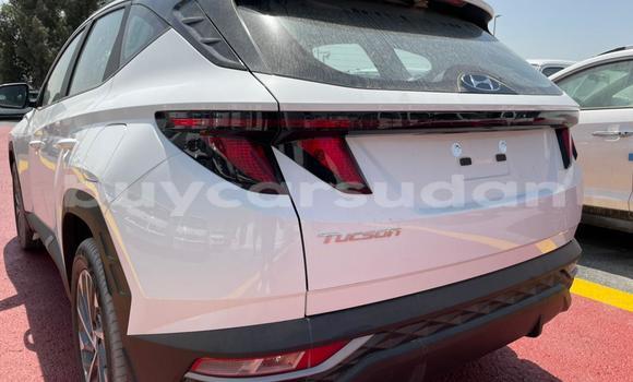 Buy New Hyundai Tucson White Car in al–Khartum Bahri in al-Khartum Buy New Hyundai Tucson White Car in al–Khartum Bahri in al-Khartum