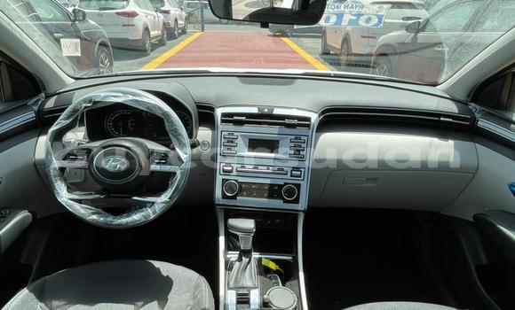 Buy New Hyundai Tucson White Car in al–Khartum Bahri in al-Khartum Buy New Hyundai Tucson White Car in al–Khartum Bahri in al-Khartum