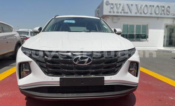 Buy New Hyundai Tucson White Car in al–Khartum Bahri in al-Khartum Buy New Hyundai Tucson White Car in al–Khartum Bahri in al-Khartum