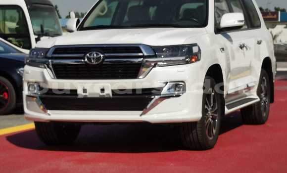 Buy New Toyota Land Cruiser White Car in Abu Hijar in Sinnar Buy New Toyota Land Cruiser White Car in Abu Hijar in Sinnar