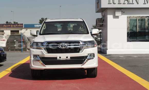 Buy New Toyota Land Cruiser White Car in Abu Hijar in Sinnar Buy New Toyota Land Cruiser White Car in Abu Hijar in Sinnar