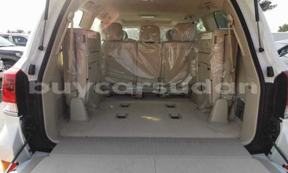 Buy New Toyota Land Cruiser White Car in Abu Hijar in Sinnar Buy New Toyota Land Cruiser White Car in Abu Hijar in Sinnar