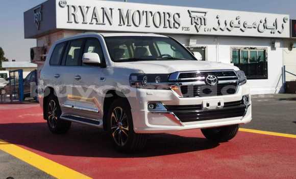 Buy New Toyota Land Cruiser White Car in Abu Hijar in Sinnar Buy New Toyota Land Cruiser White Car in Abu Hijar in Sinnar