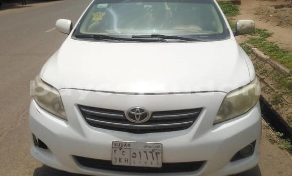 Buy Used Toyota Corolla White Car in Khartoum in Khartoum Buy Used Toyota Corolla White Car in Khartoum in Khartoum