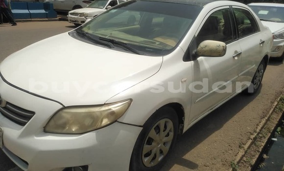 Buy Used Toyota Corolla White Car in Khartoum in Khartoum Buy Used Toyota Corolla White Car in Khartoum in Khartoum