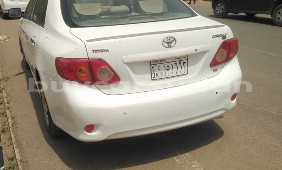 Buy Used Toyota Corolla White Car in Khartoum in Khartoum Buy Used Toyota Corolla White Car in Khartoum in Khartoum