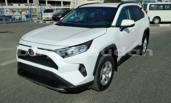 Buy Used Toyota RAV4 White Car in Juba in Bahr-al-Jabal