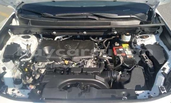 Buy Used Toyota RAV4 White Car in Juba in Bahr-al-Jabal Buy Used Toyota RAV4 White Car in Juba in Bahr-al-Jabal