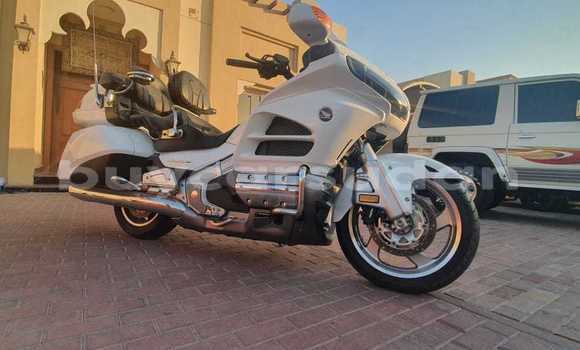 Buy Used Aermacchi Ala Verde Black Bike in ad–Damazin in an-Nil-al-Azraq Buy Used Aermacchi Ala Verde Black Bike in ad–Damazin in an-Nil-al-Azraq