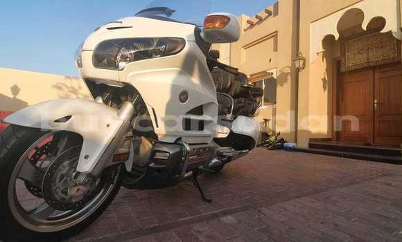 Buy Used Aermacchi Ala Verde Black Bike in ad–Damazin in an-Nil-al-Azraq Buy Used Aermacchi Ala Verde Black Bike in ad–Damazin in an-Nil-al-Azraq
