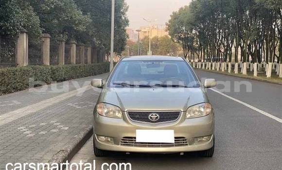 Buy Used Toyota Vios Silver Car in Abu Hijar in Sinnar Buy Used Toyota Vios Silver Car in Abu Hijar in Sinnar