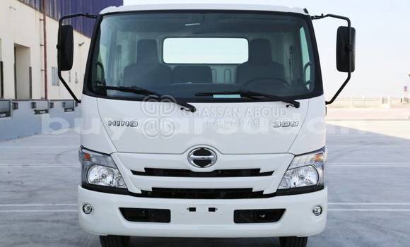 Buy New Hino 714 White Truck in Import - Dubai in Al Jazirah State Buy New Hino 714 White Truck in Import - Dubai in Al Jazirah State