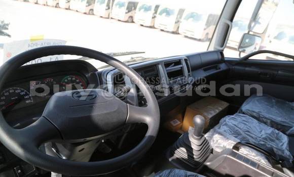 Buy New Hino GH White Truck in Import - Dubai in Al Jazirah State Buy New Hino GH White Truck in Import - Dubai in Al Jazirah State