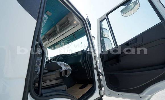 Buy New Iveco Trakker White Truck in Import - Dubai in Al Jazirah State Buy New Iveco Trakker White Truck in Import - Dubai in Al Jazirah State