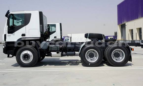 Buy New Iveco Trakker White Truck in Import - Dubai in Al Jazirah State Buy New Iveco Trakker White Truck in Import - Dubai in Al Jazirah State