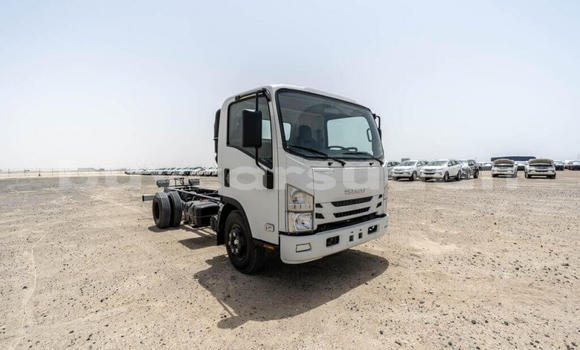 Buy New Isuzu NPR 85H White Truck in Import - Dubai in Al Jazirah State Buy New Isuzu NPR 85H White Truck in Import - Dubai in Al Jazirah State