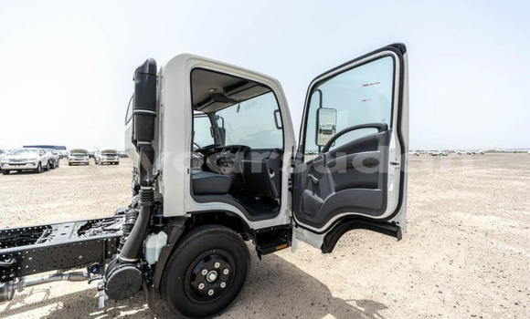 Buy New Isuzu NPR 85H White Truck in Import - Dubai in Al Jazirah State Buy New Isuzu NPR 85H White Truck in Import - Dubai in Al Jazirah State