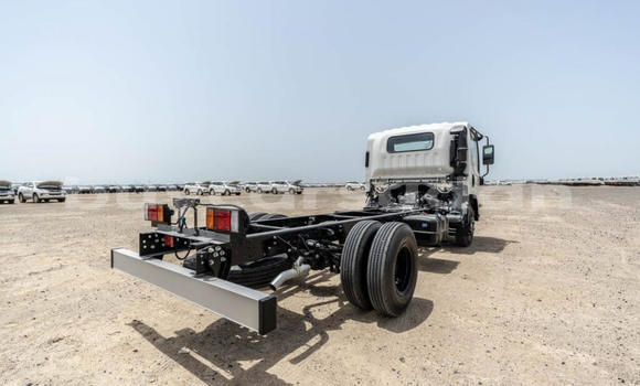 Buy New Isuzu NPR 85H White Truck in Import - Dubai in Al Jazirah State Buy New Isuzu NPR 85H White Truck in Import - Dubai in Al Jazirah State