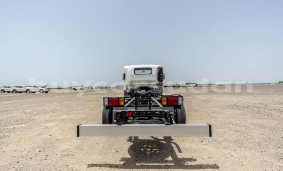 Buy New Isuzu NPR 85H White Truck in Import - Dubai in Al Jazirah State Buy New Isuzu NPR 85H White Truck in Import - Dubai in Al Jazirah State