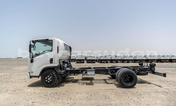 Buy New Isuzu NPR 85H White Truck in Import - Dubai in Al Jazirah State Buy New Isuzu NPR 85H White Truck in Import - Dubai in Al Jazirah State