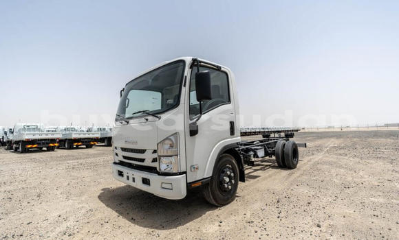 Buy New Isuzu NPR 85H White Truck in Import - Dubai in Al Jazirah State Buy New Isuzu NPR 85H White Truck in Import - Dubai in Al Jazirah State