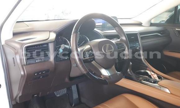 Buy Used Lexus RX 350 White Car in ad–Damir in Nahr-an-Nil Buy Used Lexus RX 350 White Car in ad–Damir in Nahr-an-Nil