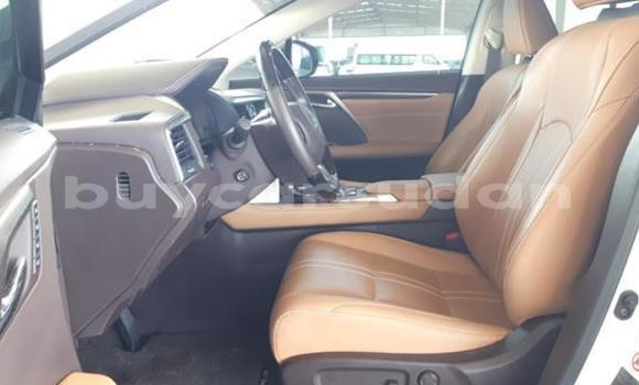 Buy Used Lexus RX 350 White Car in ad–Damir in Nahr-an-Nil Buy Used Lexus RX 350 White Car in ad–Damir in Nahr-an-Nil