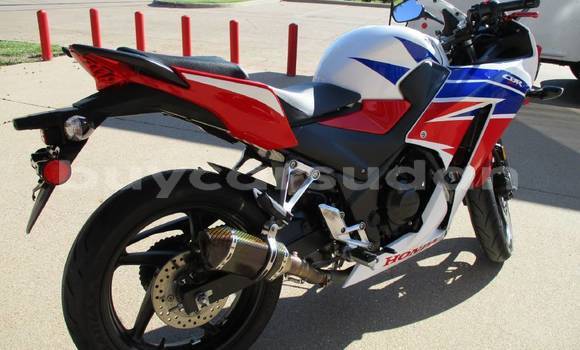 Buy Used Honda CBR 1000 RR Red Bike in ad–Dindar in Sinnar Buy Used Honda CBR 1000 RR Red Bike in ad–Dindar in Sinnar