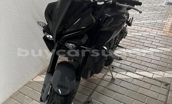 Buy Used Yamaha MT Beige Bike in Abu Hijar in Sinnar