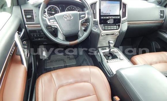 Buy Used Toyota Land Cruiser White Car in ad–Dabbah in ash-Shamaliyah Buy Used Toyota Land Cruiser White Car in ad–Dabbah in ash-Shamaliyah