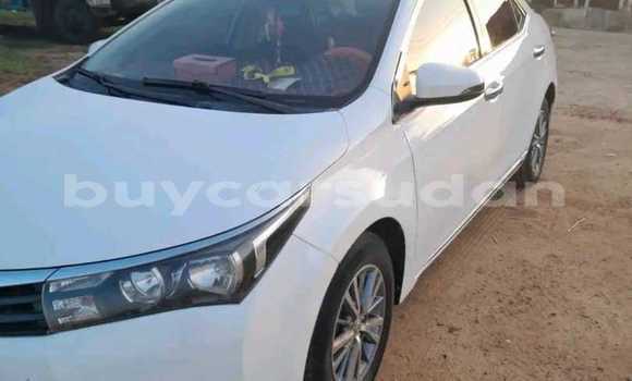 Buy Used Toyota Corolla White Car in Khartoum in Khartoum