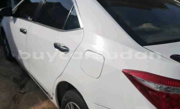 Buy Used Toyota Corolla White Car in Khartoum in Khartoum Buy Used Toyota Corolla White Car in Khartoum in Khartoum