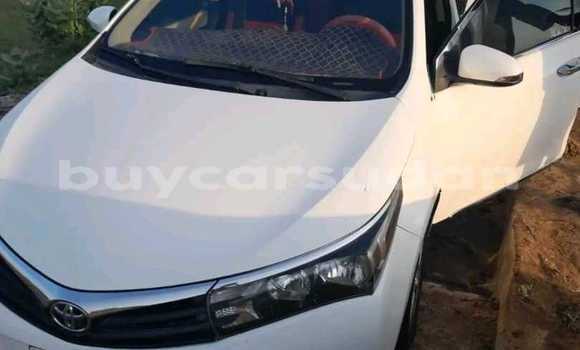 Buy Used Toyota Corolla White Car in Khartoum in Khartoum Buy Used Toyota Corolla White Car in Khartoum in Khartoum