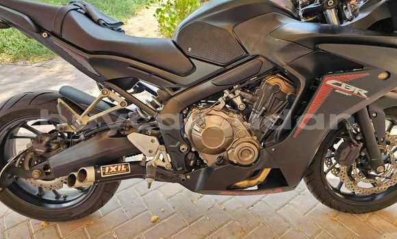 Buy Used Honda CBR Black Bike in Bur in Junqali