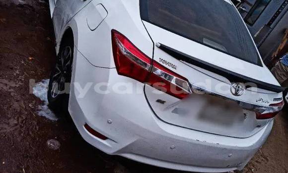 Buy Used Toyota Altezza White Car in Khartoum in Khartoum Buy Used Toyota Altezza White Car in Khartoum in Khartoum