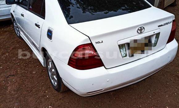 Buy Used Toyota Alphard White Car in Khartoum in Khartoum Buy Used Toyota Alphard White Car in Khartoum in Khartoum