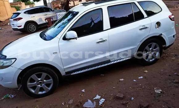 Buy Used Hyundai Tucson White Car in Khartoum in Khartoum Buy Used Hyundai Tucson White Car in Khartoum in Khartoum