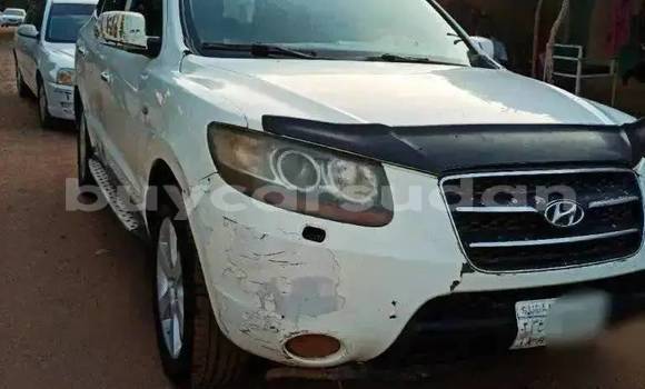 Buy Used Hyundai Tucson White Car in Khartoum in Khartoum Buy Used Hyundai Tucson White Car in Khartoum in Khartoum