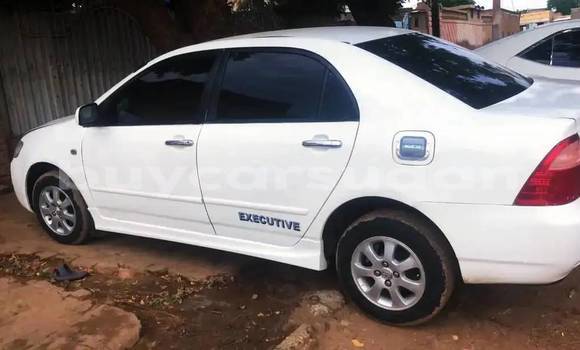 Buy Used Toyota Corolla White Car in Khartoum in Khartoum Buy Used Toyota Corolla White Car in Khartoum in Khartoum
