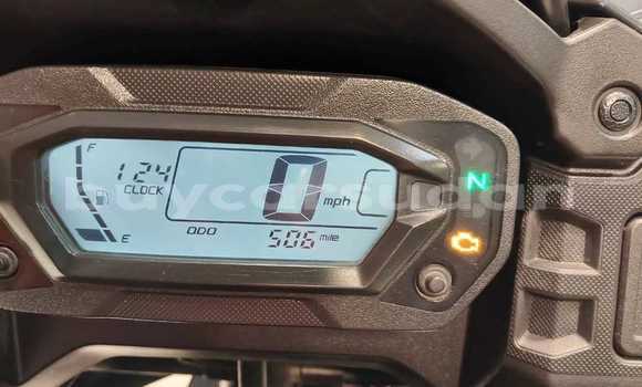 Acheter Occasion Moto Kawasaki KLR 650 Beige à Bur Soudan, al-Bahr-al-Ahmar Acheter Occasion Moto Kawasaki KLR 650 Beige à Bur Soudan, al-Bahr-al-Ahmar