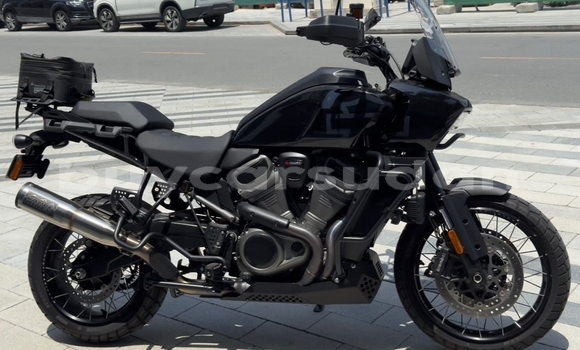 Buy Used Harley Davidson S Black Bike in Bur Sudan in al-Bahr-al-Ahmar Buy Used Harley Davidson S Black Bike in Bur Sudan in al-Bahr-al-Ahmar