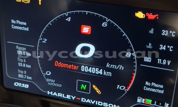 Acheter Occasion Moto Harley Davidson S Noir à Bur Soudan, al-Bahr-al-Ahmar Acheter Occasion Moto Harley Davidson S Noir à Bur Soudan, al-Bahr-al-Ahmar