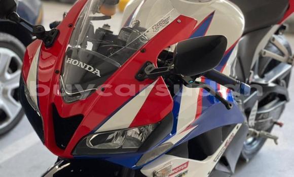 Buy Used Honda CBR White Bike in Abu Hijar in Sinnar Buy Used Honda CBR White Bike in Abu Hijar in Sinnar