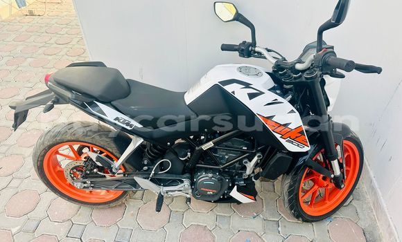 Buy Used KTM Duke Beige Bike in al–Kurumuk in an-Nil-al-Azraq
