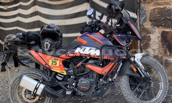 Buy Used KTM Duke Beige Bike in Abu Hijar in Sinnar