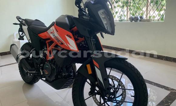 Buy Used KTM Duke Black Bike in Abu Hijar in Sinnar